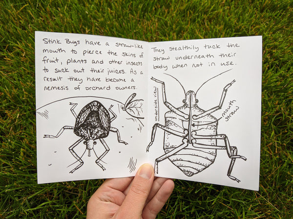 Stink Bugs Mini Zine