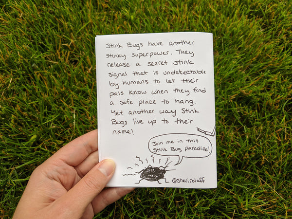 Stink Bugs Mini Zine