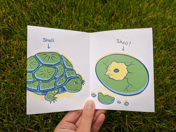 Shells Mini Zine - available in two color palettes!