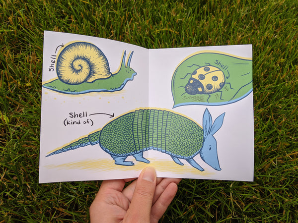 Shells Mini Zine - available in two color palettes!