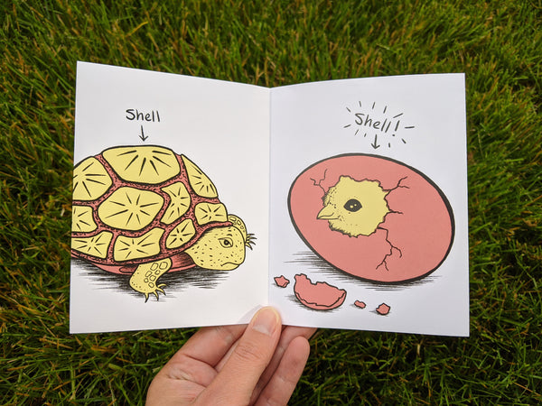 Shells Mini Zine - available in two color palettes!